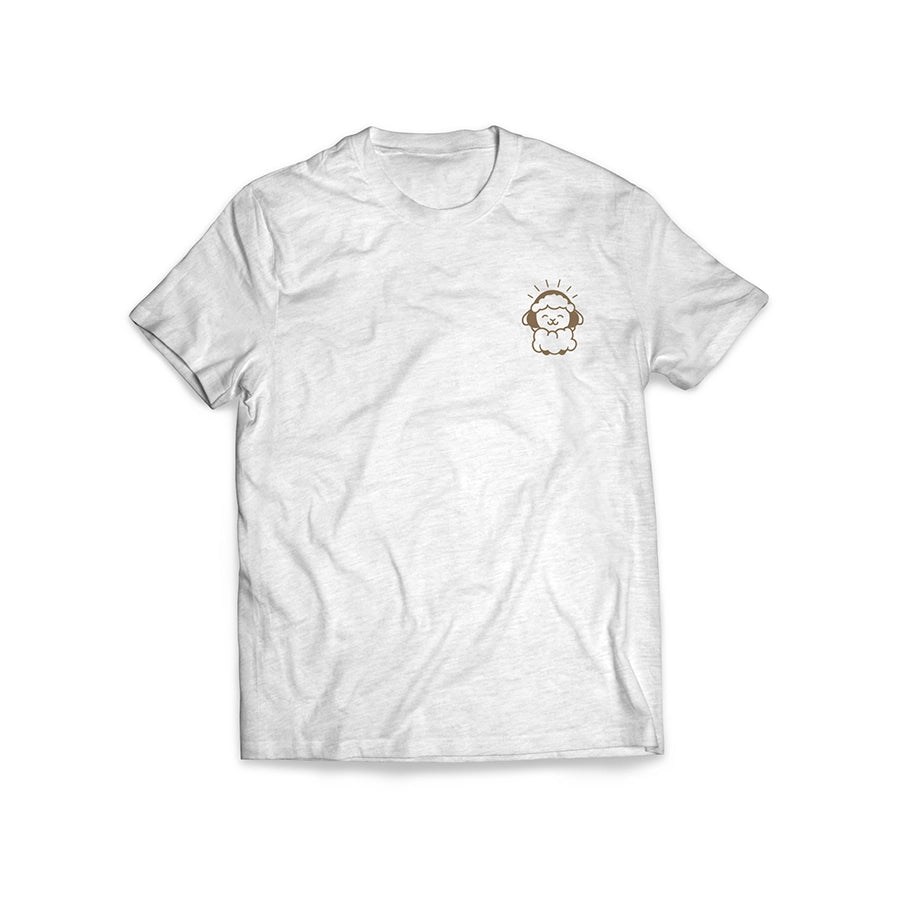 Fruit of the Spirit T-shirt - Ash Color